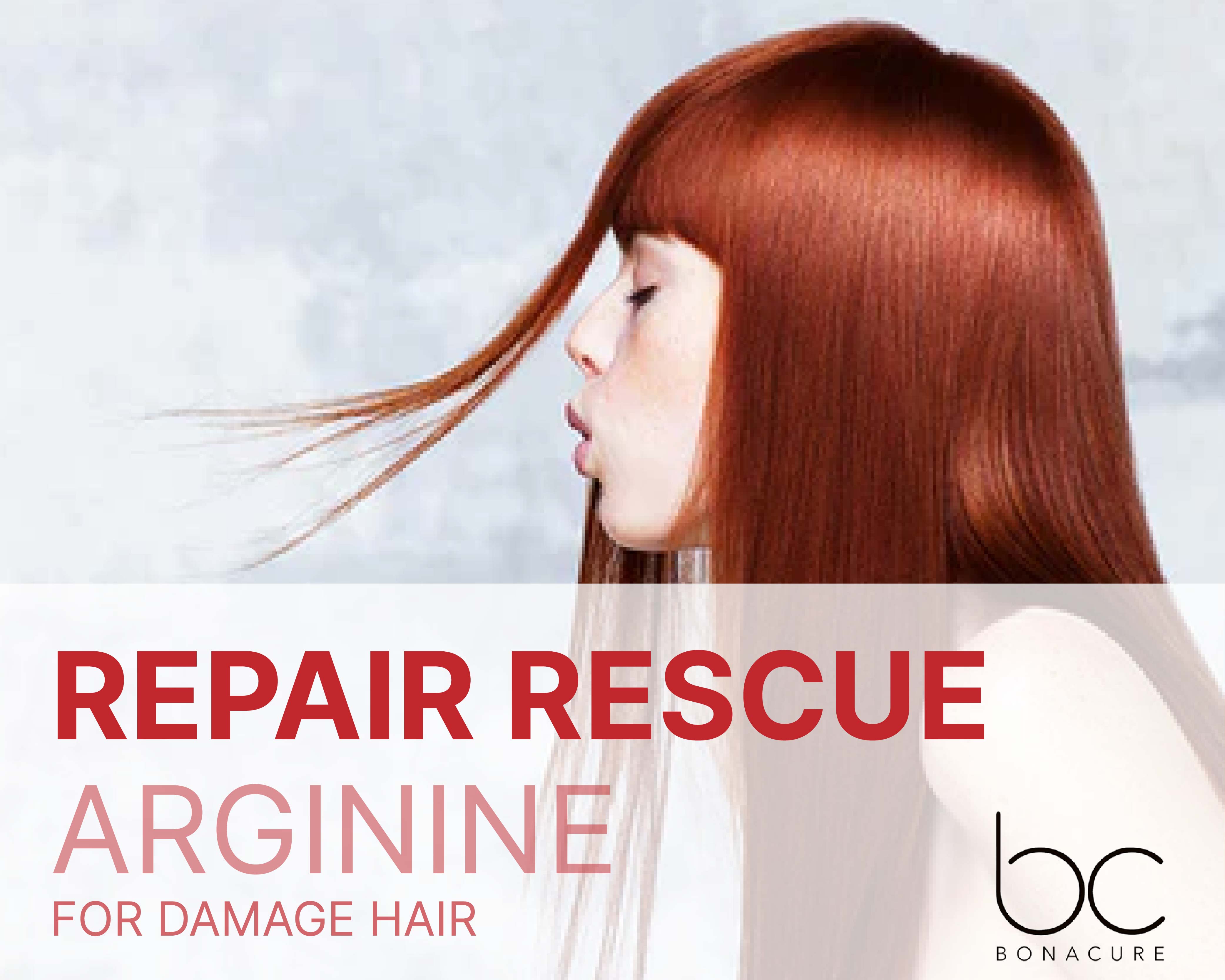 BC REPAIR RESCUE
